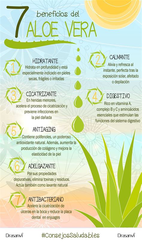 Infografía sobre los beneficios del aloe vera para la digestión y la hidratación.