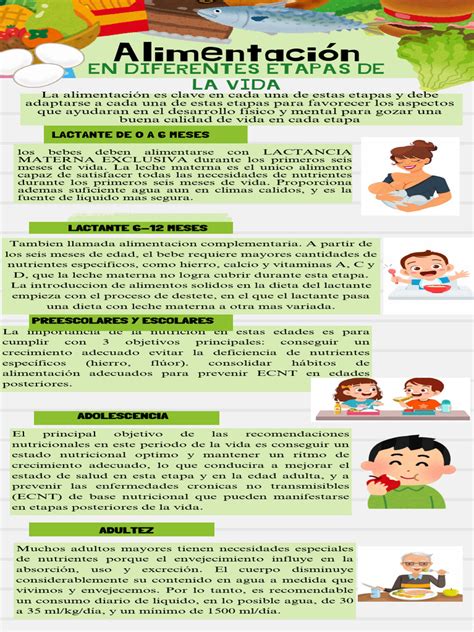Infografía mostrando las diferentes etapas de la dieta postoperatoria, desde líquidos hasta sólidos, con ejemplos de alimentos y rangos calóricos aproximados.