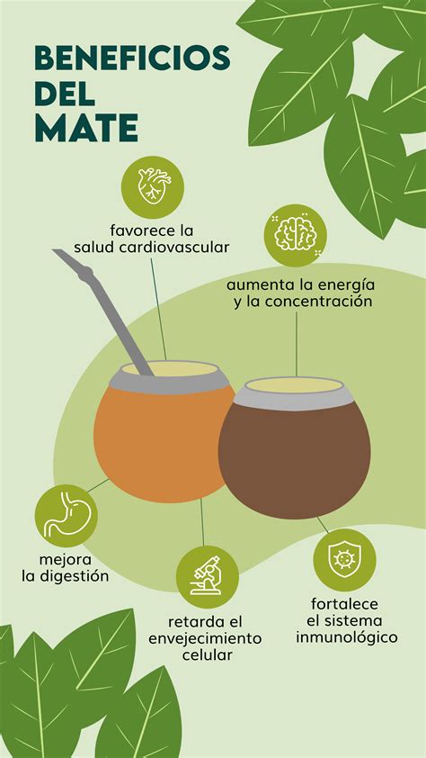 Infografía detallando los componentes y beneficios de la hierba mate.