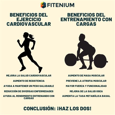 Infografía comparativa de ejercicios cardiovasculares y de fuerza para la pérdida de grasa abdominal.