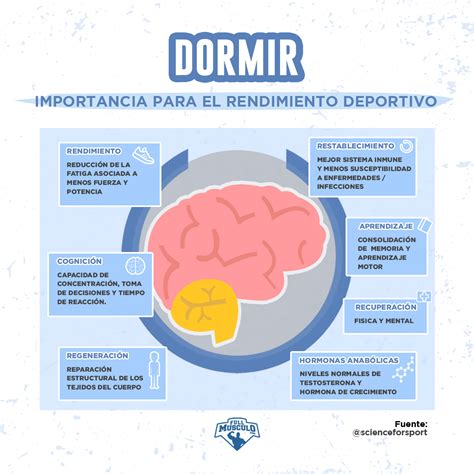 Infografía sobre la importancia del descanso y la recuperación muscular para el crecimiento y la salud.