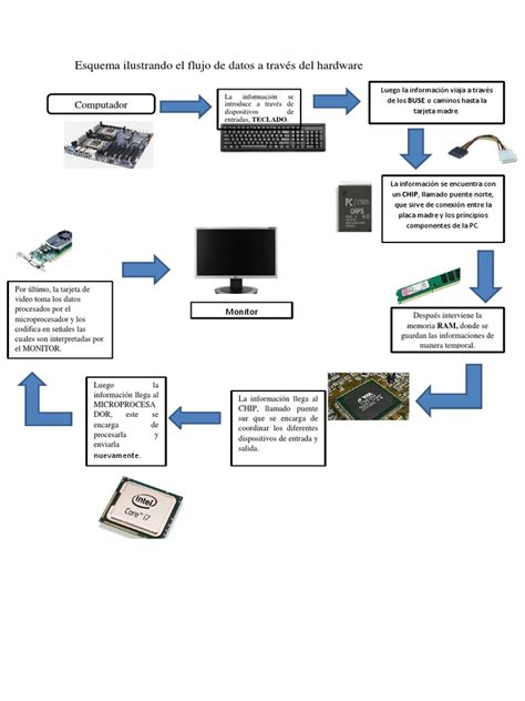 Esquema ilustrando el principio de funcionamiento de la Absorciometría de Rayos X de Doble Energía (DEXA) para la medición de la composición corporal.