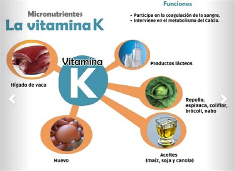 Infografía con las fuentes alimenticias de creatina.
