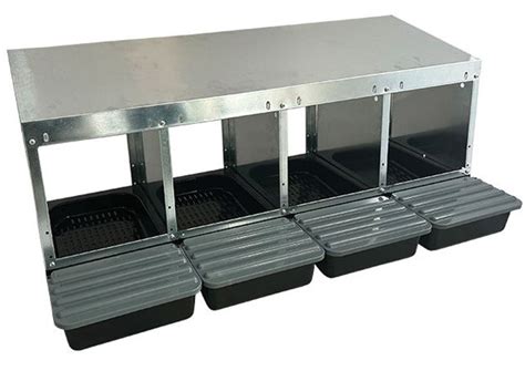 Ilustración: Detalle de un nido para gallinas ponedoras en una granja de reproductores