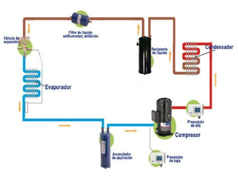 Esquema: Funcionamiento del sistema de bebederos Steady-Flow®