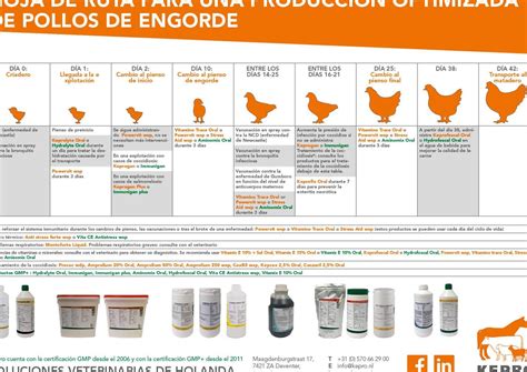 Diagrama: Niveles de intensidad lumínica recomendados para pollos de engorde en diferentes etapas