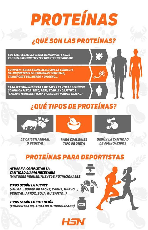 infografía sobre los beneficios de las proteínas para la pérdida de peso: saciedad, metabolismo, masa muscular
