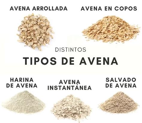 Diagrama comparativo del índice glucémico de diferentes tipos de avena (integral vs. refinada, copos vs. instantánea).