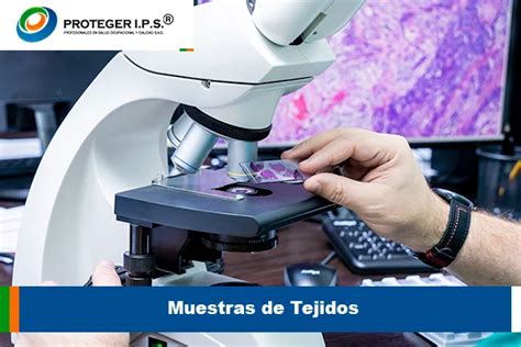 Muestras de tejidos y estampados utilizados en la confección de ropa de tallas grandes.