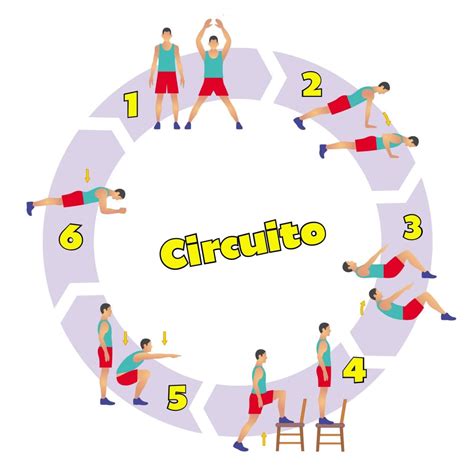 Ilustración de un circuito de entrenamiento con diferentes estaciones, representando la variedad de ejercicios.