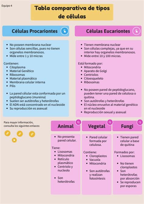 Tabla comparativa de diferentes tipos de cremas y geles reductores, destacando sus ingredientes y modos de acción.