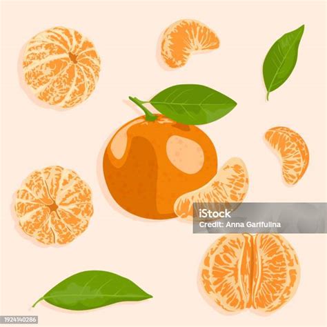 Ilustración de una mandarina con sus gajos y trozos de cáscara, destacando su contenido de vitaminas y fibra.