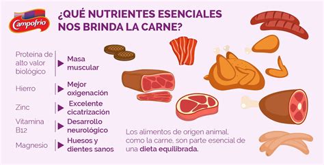 Infografía detallando los nutrientes de la carne de ternera