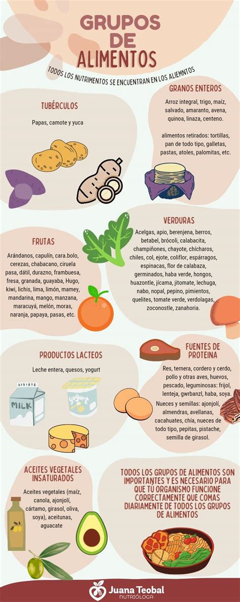 infografía sobre los grupos de alimentos esenciales durante el embarazo