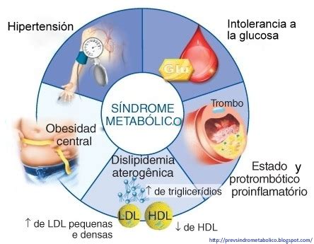 Diagrama de los componentes del síndrome metabólico