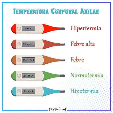 Gráfico que muestra los picos de temperatura corporal, fuerza muscular y tiempo de reacción a lo largo del día.