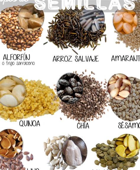 Infografía comparativa de contenido de fibra en diferentes tipos de semillas.