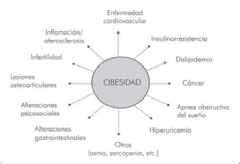 Ilustración que muestra las diversas comorbilidades asociadas a la obesidad.