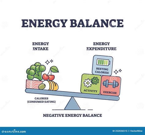 Infografía explicando el balance energético: calorías ingeridas vs. calorías gastadas.