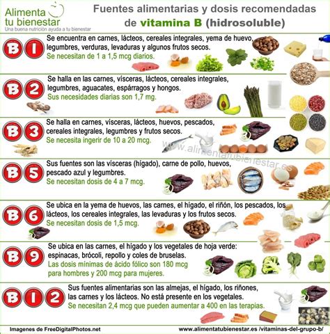 Infografía comparativa de fuentes alimentarias de folato y vitamina B12.