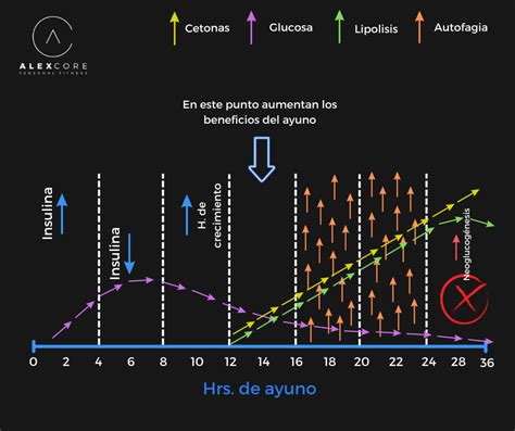 Gráfico ilustrando la progresión de los niveles de ayuno intermitente, desde el nivel principiante hasta el experto.