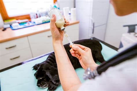 Foto de un veterinario administrando fluidoterapia a un conejo.