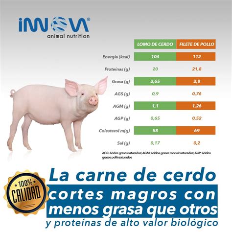 infografía detallando la composición nutricional de los espaguetis por cada 100 gramos, incluyendo calorías, carbohidratos, proteínas y grasas.