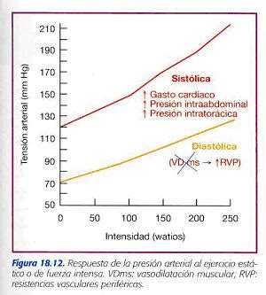 Gráfico comparativo de la respuesta de la presión arterial sistólica y diastólica durante el ejercicio dinámico y estático.