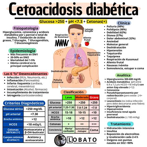 Gráfico comparativo entre cetosis nutricional y cetoacidosis diabética.