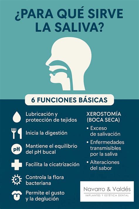 Ilustración mostrando los componentes de la saliva y sus funciones protectoras.