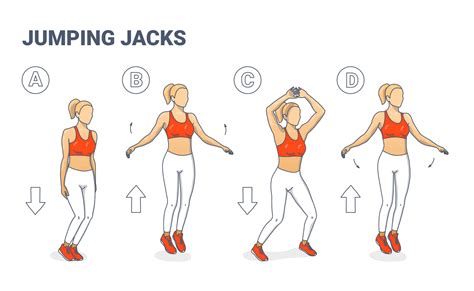 Ejemplo de ejercicios cardiovasculares de calentamiento: jumping jacks, trote suave, bicicleta estática.