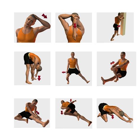 Imagen de una persona realizando estiramientos suaves después de un entrenamiento.