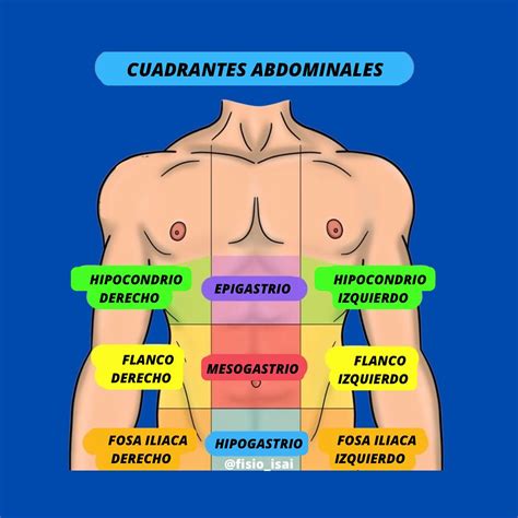 Ilustración del abdomen humano destacando la zona epigástrica.