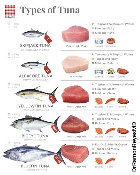 comparativa visual de los diferentes tipos de atún y sus usos culinarios