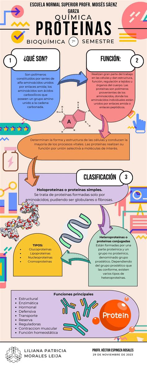 infografía sobre la importancia de las proteínas para la ganancia muscular