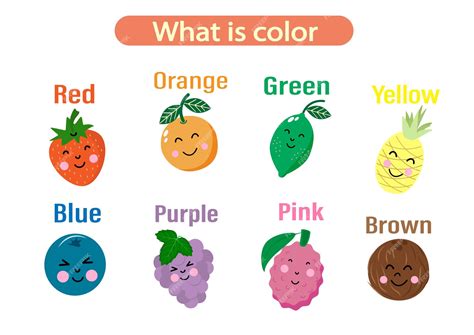 Collage de frutas de colores vibrantes (rojo, azul, naranja, verde).