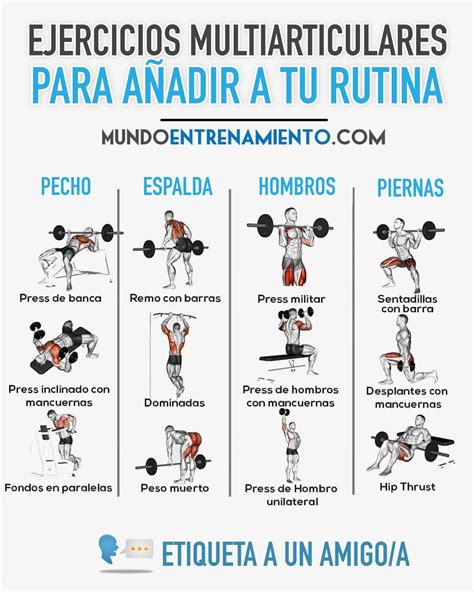 ilustración de diferentes ejercicios de fuerza multiarticulares como sentadillas y peso muerto