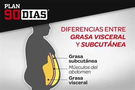 Diagrama que ilustra la diferencia entre grasa visceral (abdominal) y grasa subcutánea (caderas).