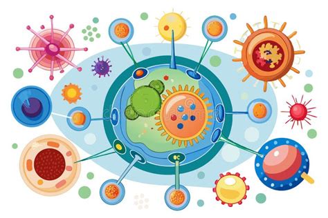 Ilustración esquemática del sistema inmunitario atacando células sanas en una enfermedad autoinmune.
