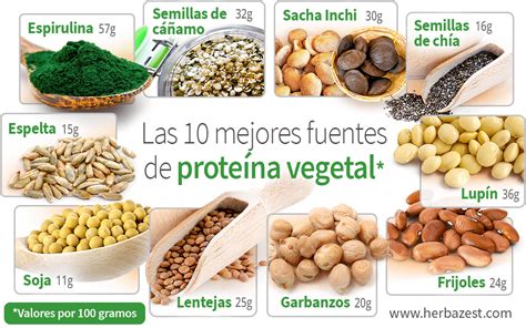 Ilustración de diferentes fuentes de proteína vegetal (soya, guisantes, arroz)