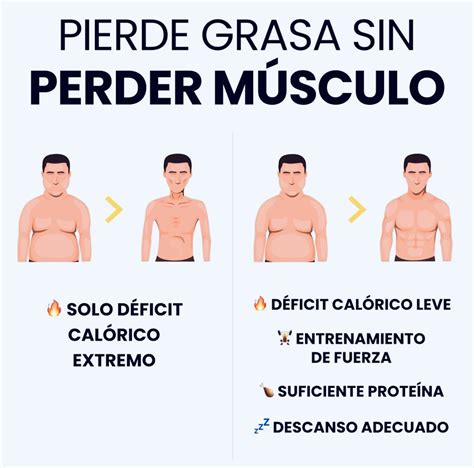 Gráfico comparativo de la pérdida de grasa con y sin suplementación de L-Carnitina.