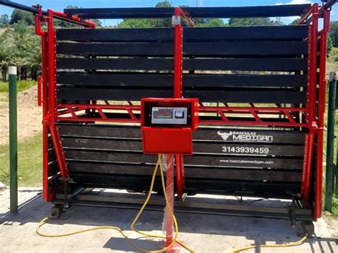 Infografía comparativa de diferentes modelos de básculas para ganado y sus capacidades.