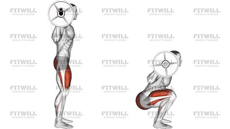 Infografía que muestra los músculos principales trabajados durante una sentadilla