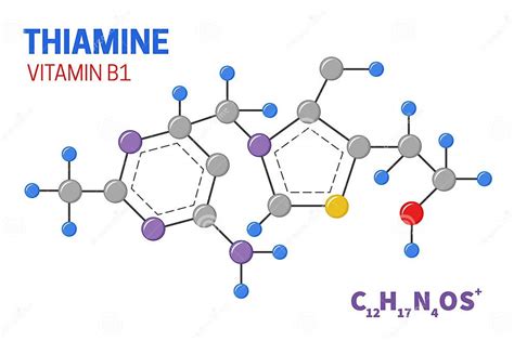 Ilustración que compara la estructura molecular de la tiamina y el TPP.