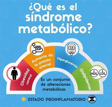 Infografía sobre los componentes del síndrome metabólico