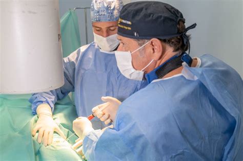 Infografía: Proceso de preparación para la cirugía bariátrica