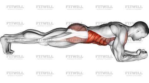 esquema de la posición correcta para la plancha frontal clásica