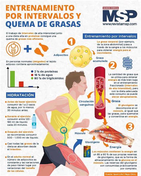 Infografía simple mostrando los beneficios clave: aumento de quema de grasa, control de antojos, relajación y sueño reparador.