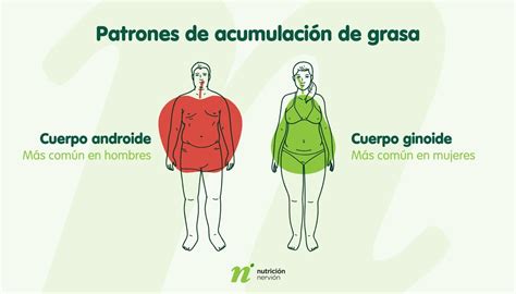 Gráfico comparativo de acumulación de grasa en mujeres jóvenes y en la menopausia