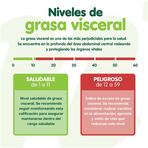 Gráfico comparativo de los riesgos para la salud asociados a la grasa visceral